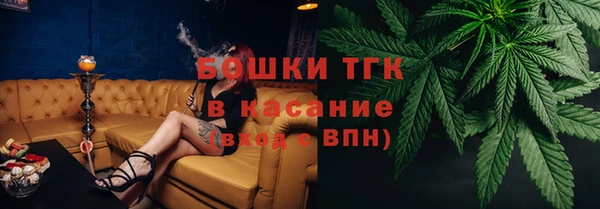 индика Вяземский